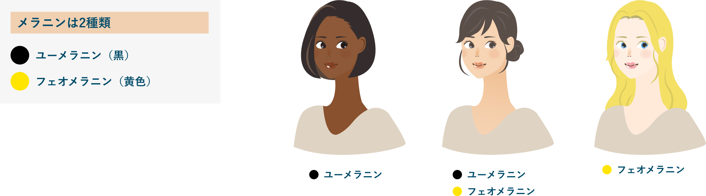 メラニン色素の種類